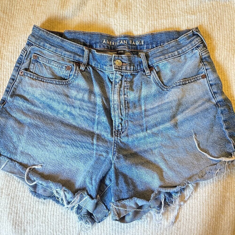 American Eagle Denim Shorts Size 12